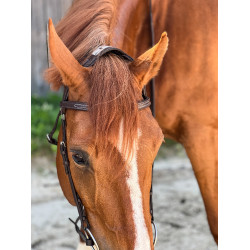 T-de-T hoofdstel Essentiel met brug