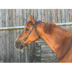 T-de-T hoofdstel Essentiel met brug