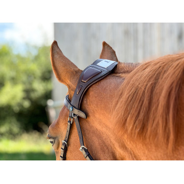 T-de-T hoofdstel Essentiel met brug