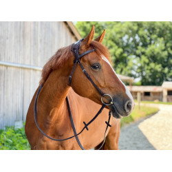 T-de-T hoofdstel Essentiel met brug