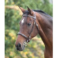Bridon avec surpiqûres Fancy Blenheim Shires
