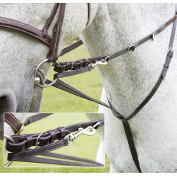 Enrênement Howlett Blenheim Shires Enrênement Howlett Blenheim Shires