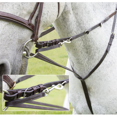 Enrênement Howlett Blenheim Shires Enrênement Howlett Blenheim Shires