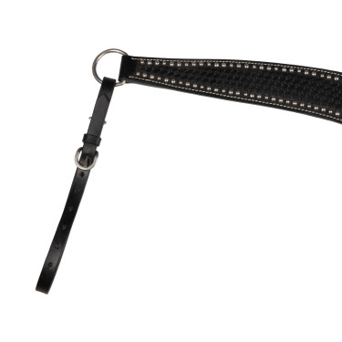 Brustblatt Basket/Spots Pool's Zwart