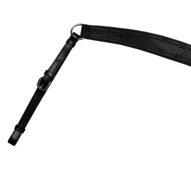 Borsttuig Barbwire Pool's