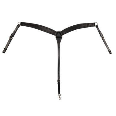 Borsttuig Barbwire Pool's