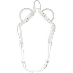 Voltigesingel Norton