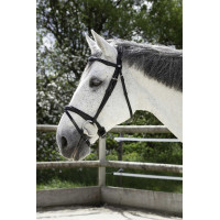 Bridon Norton Pro Combiné Zwart