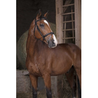 Bridon Norton Pro Combiné Zwart