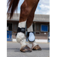 Kogelschoenen Norton Wit / zwart