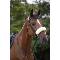 Neusriemhoes Equithème Teddy Ecru Beige