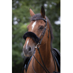 Neusriemhoes Equithème Teddy Zwart
