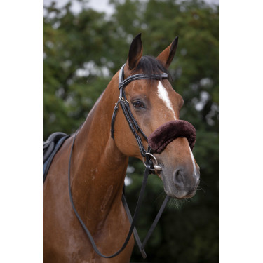 Neusriemhoes Equithème Teddy Bruin