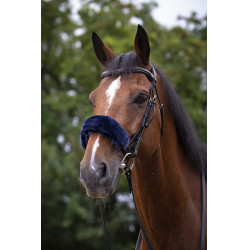 Neusriemhoes Equithème Teddy Marineblauw
