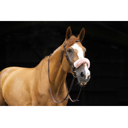 Neusriemhoes Equithème Teddy Roségoud Neusriemhoes Equithème Teddy Roségoud