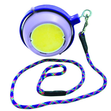 Spel zoutsteen Boredom Buster Likit