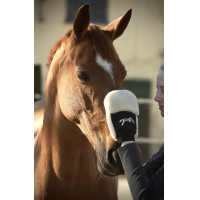 Poetsenhandschoen Pénélope Zwart Poetsenhandschoen Pénélope Zwart