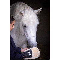 Poetsenhandschoen Pénélope Zwart Poetsenhandschoen Pénélope Zwart