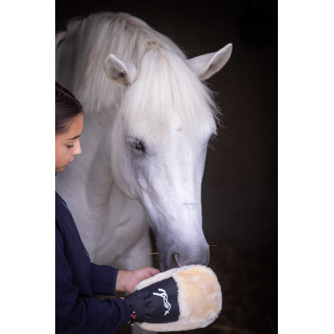 Poetsenhandschoen Pénélope Zwart Poetsenhandschoen Pénélope Zwart