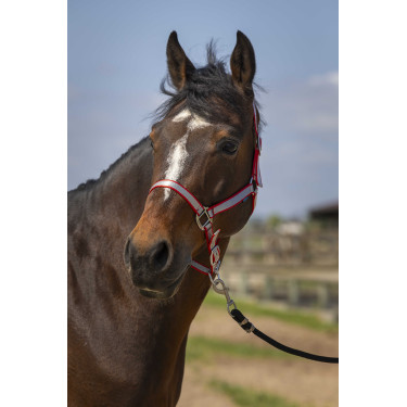 Halster Norton Nylon Soft Rood