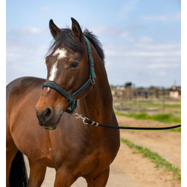 Halster Equithème Nylon Strass Groen Halster Equithème Nylon Strass Groen