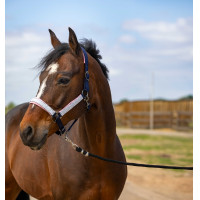 Halster Equithème Nylon Check Zwart / bruin