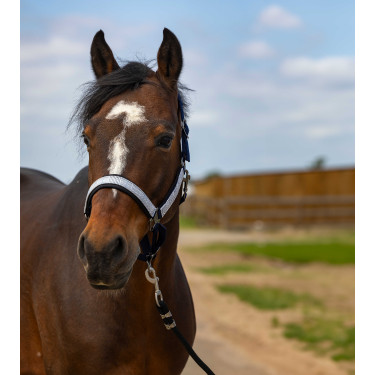 Halster Equithème Nylon Check Marine / zwart Blauw Halster Equithème Nylon Check Marine / zwart Blauw