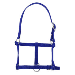 Halster veulen Riding World Halster veulen Riding World