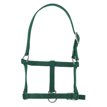 Halster veulen Riding World Donkergroen Halster veulen Riding World Donkergroen