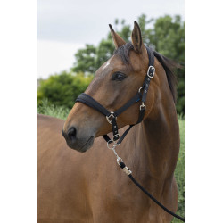 Halster + leadrope Norton Large Zwart Halster + leadrope Norton Large Zwart