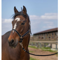 Halster Equithème Nylon light Zwart