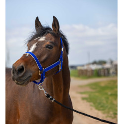 Halster Equithème Nylon light Koningsblauw Halster Equithème Nylon light Koningsblauw