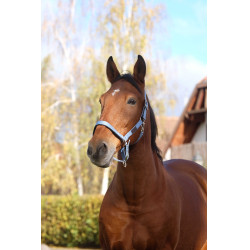 Nylon Halster Spring Equithème Blauw