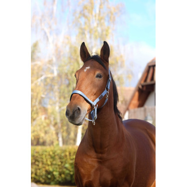 Nylon Halster Spring Equithème Blauw