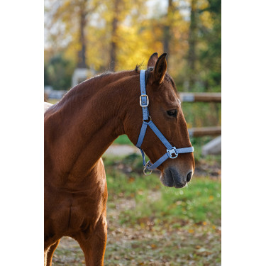 Nylon Halster Spring Equithème Blauw