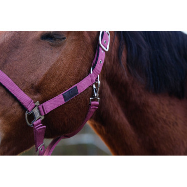 Nylon Halster Spring Equithème Roze