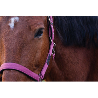 Nylon Halster Spring Equithème Roze