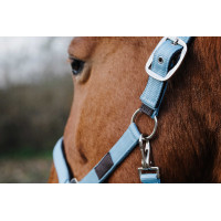 Nylon Halster Spring Equithème Donkergroen