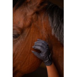 Handschoenen Eden by Pénélope Prisma Strass