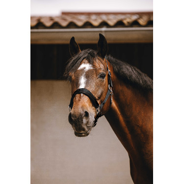 Nylon halster Equithème Jacquard