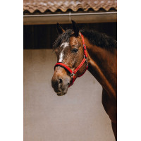 Nylon halster Equithème Jacquard Rood