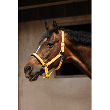 Nylon halster Equithème Jacquard Goud Nylon halster Equithème Jacquard Goud
