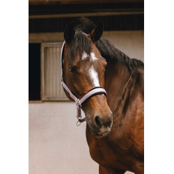 Nylon halster Equithème Jacquard Lila Blauw Nylon halster Equithème Jacquard Lila Blauw