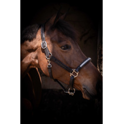 Halster Pénélope Harmonie