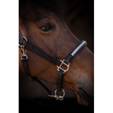 Halster Pénélope Harmonie