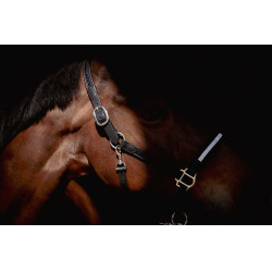 Halster Pénélope Harmonie