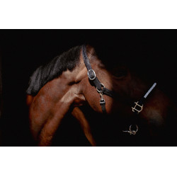 Halster Pénélope Harmonie