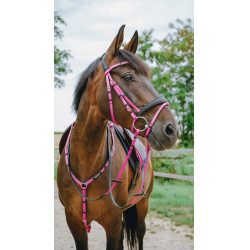 Endurancehoofdstel Norton Pop