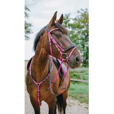 Endurancehoofdstel Norton Pop
