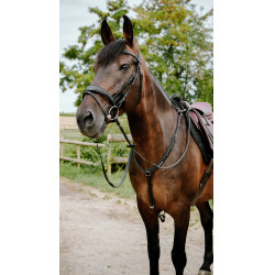 Endurancehoofdstel Norton Pop
